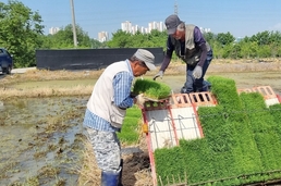 농가소득 중 농업소득 감소폭 커...경영안전망 확충 절실