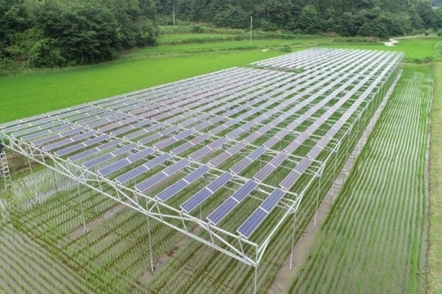 농업인에게만 영농형 태양광 설치 허용한다