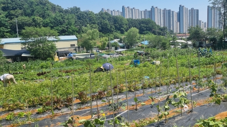 농정 대전환 TF, 농정을 재설계한다