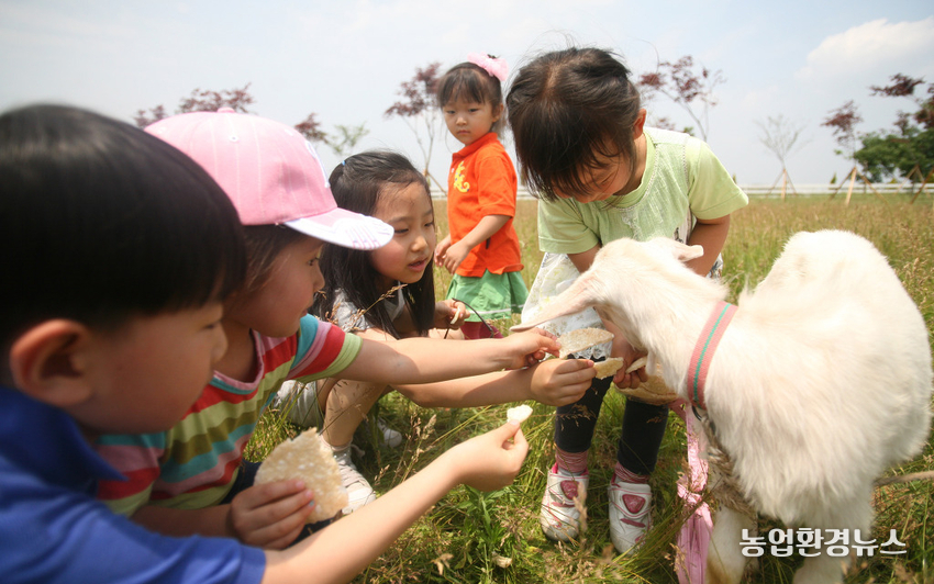 산양 먹이 주기