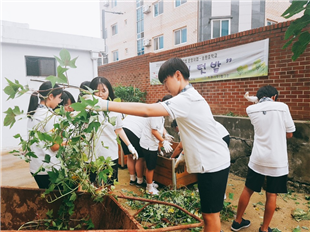 송원중학교(경기도 수원시)