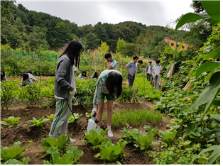 진접중학교(경기도 남양주시)