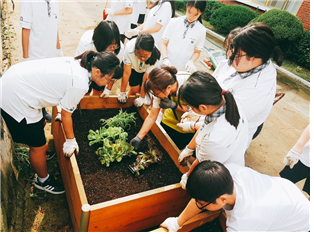 송원중학교(경기도 수원시)