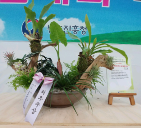 <2019년 접시정원분야 최우수작 ‘미세먼지를 흡수하는 공기 청정 정원’>