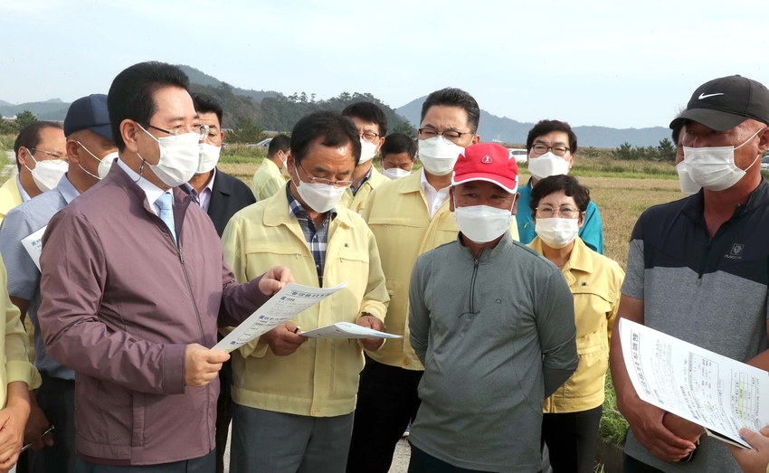 김영록 전남도지사가 10일 오후 태풍으로 피해를 입은 진도군 지산면 심동리 ‘벼 흑·백수 피해현장’을 방문해 피해현황과 애로사항을 청취하고 있다