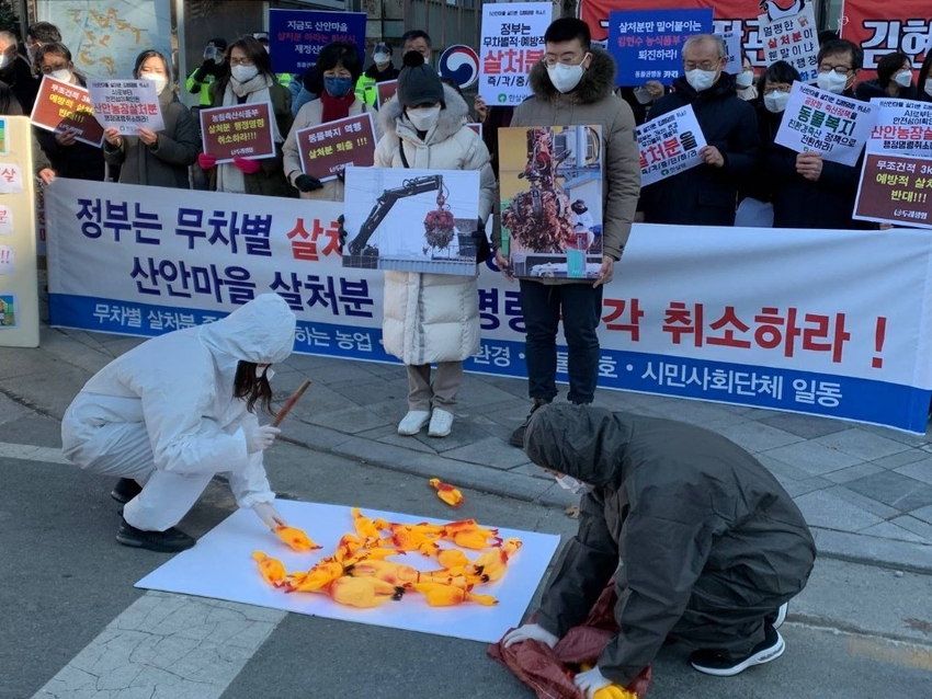 무분별한 살처분을 반대하는 퍼포먼스 장면.