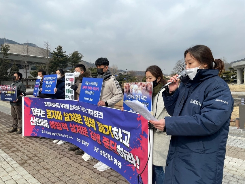 동물권행동 카라에서는 지난 10일 청와대 앞에서 조류독감(AI) 무차별 살처분 규탄 기자회견을 가졌다.