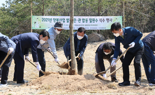 '2021년 양봉산업 발전 민ㆍ관 합동 밀원수 식수 행사'가 열린 7일 전북 부안군 위도면 꿀벌위도격리육종장에서 허태웅 농촌진흥청장과 참석자들이 아까시나무 등 밀원수를 식재하고 있다 .△사진제공=농촌진흥청