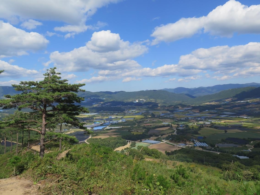 < 디엠지(DMZ) 펀치볼둘레길 >