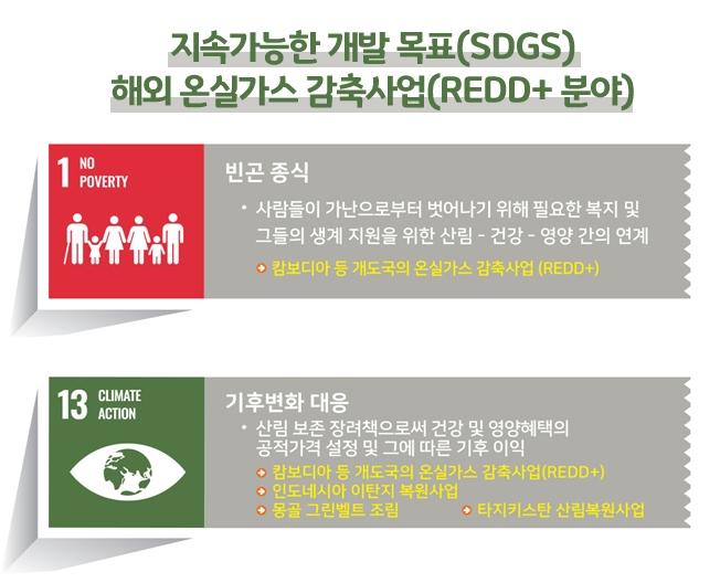 SDGs 지속가능한 개발 목표 (REDD+ 분야)