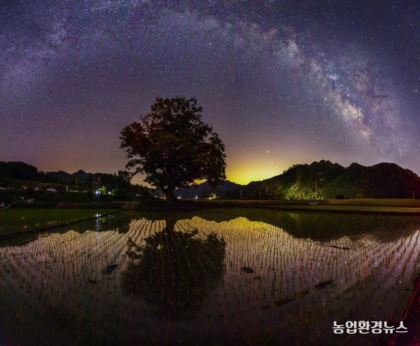 잘산대대박<br>
(충북 보은군 산외면<br>
내북산외로 661<br>
//jalsandae.com<br>
TEL:043-543-6570)