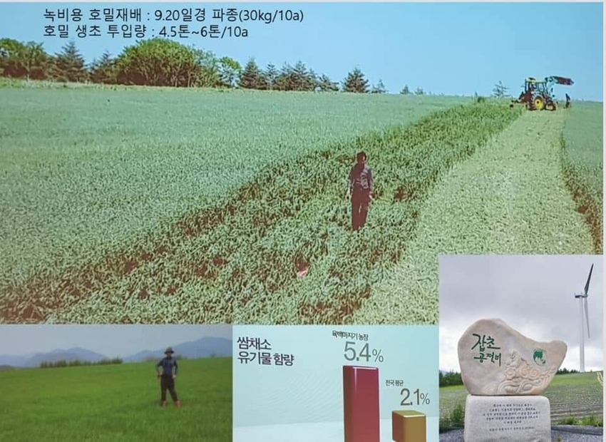 이해극 회장께서 청옥산 6백마지 농장에서 호밀을 재배하는 모습