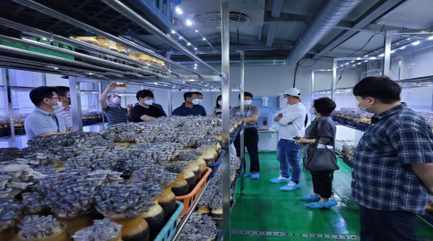 <느타리 스마트 재배사>