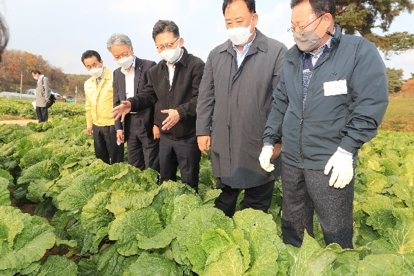 김현수 농림축산식품부 장관은 11월18일(목) 오후, 충청남도 당진시 소재 가을배추 밭을 방문하여 배추 작황을 점검하고 현장 의견을 청취했다