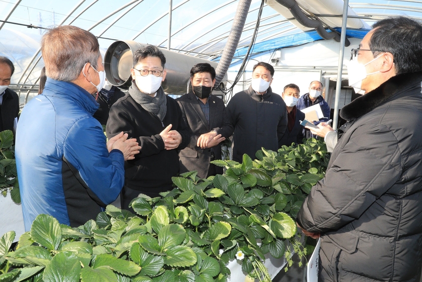 김현수 농림축산식품부 장관은 1월 11일(화) 오후, 충청남도 논산시 소재 딸기 재배 농가와 농협 산지유통센터를 방문하여 딸기 작황 및 출하 상황을 점검하고 현장 의견을 청취했다.