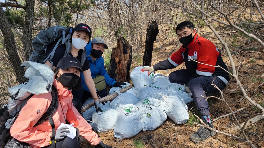 산림청(청장 최병암)은 4월 9일 울진군 금강송면 소광리 일원에서 녹색연합, 멸종위기종복원센터 등 민간단체·관계기관과 함께 멸종위기야생생물Ⅰ급으로 지정된 산양(천연기념물 217호)의 먹이주기 활동에 나섰다