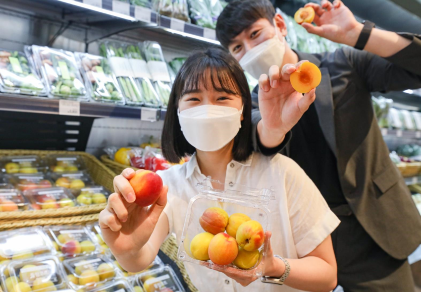 ‘하모니’ 플럼코트 기획판매전 < 사진제공: 현대백화점>