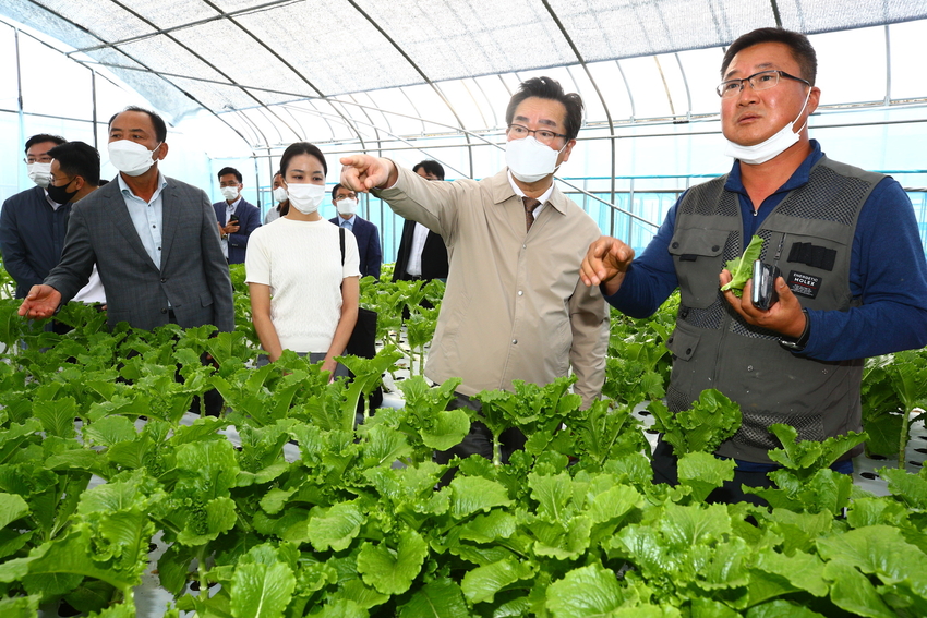  정황근 농림축산식품부 장관은 9월22일(목), 법무부와 함께 충남 부여군 공공형 계절근로 시범사업 현장을 방문하여 그간의 운영상황을 점검하고, 안정적인 운영을 위한 제도개선 및 지원방안을 논의했다. <사진:정황근 장관, 공공형 계절근로 시범사업 현장 방문>