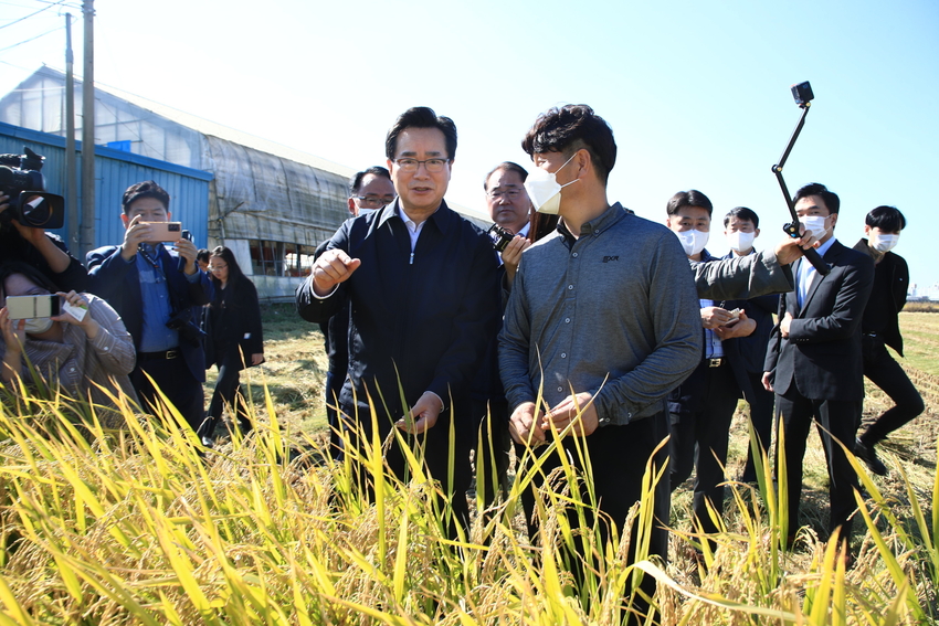 국회입법조사처는 ' 식량자급률 목표 재론 이란 쟁점과 과제를 통해 우리나라에서 식량자급목표치가 자주 바뀌었고 이를 달성한 경험도 거의 없다고 밝혔다.< 사진은 정황근 농림축산식품부장관은 지난해 10월 13일(목) 오후, 전북 익산시 소재 가루쌀 수확 현장 방문하여 현장 관계자를 격려하고 있다.>