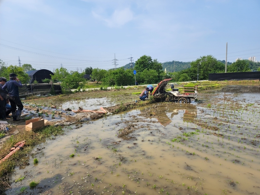 국토교통부가 외국인의 토지 거래 과정에서 투기성・불법성 거래행위를 집중적으로 단속에 들어간 가운데 토지 투기의심거래 920건 중 농지거래가 490건으로 가장 비중이 높은 것으로 밝혀졌다. 