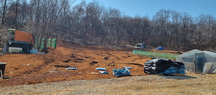  농림축산식품부는 친환경농업 확산을 통해 환경보전 등 농업의 공익적 기능을 높이기 위해 지원하는 「친환경농업직접지불금」 신청을 3월 2일부터 4월 30일까지 접수한다고 밝혔다. < 사진은 경기도 시흥시 계수동에 있는 생태환경 주말농장 전경 >