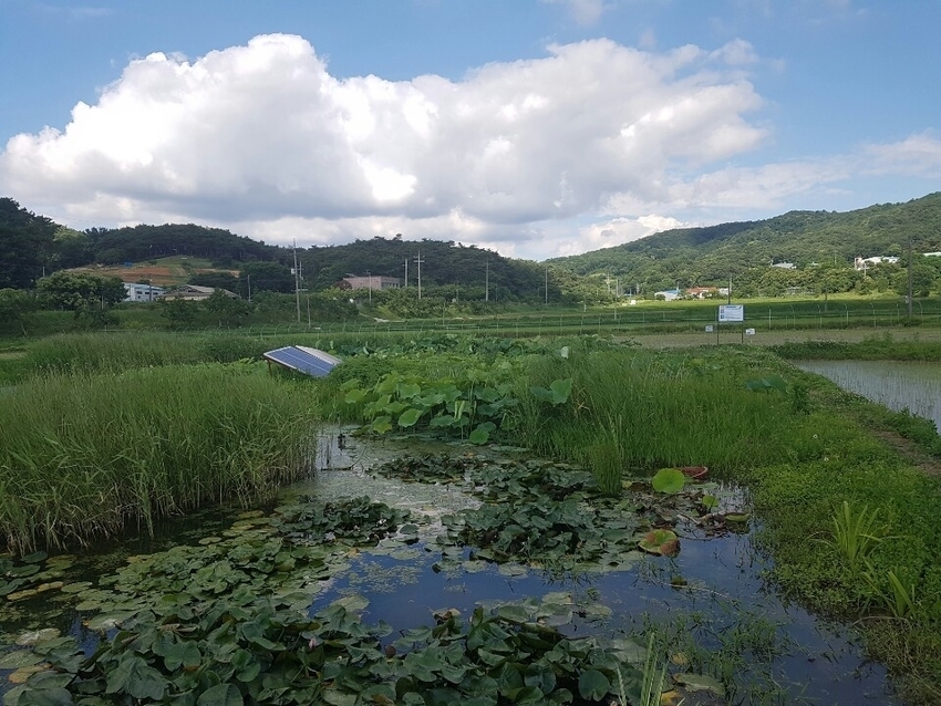  논습지 (람사협약 습지분류체계 인공습지)와 산림은 가장 중요한 기본경관이며, 기후변화에 대비하여 반드시 보전ㆍ관리가 필요한 핵심적인 탄소흡수원 역할을 하고 있는 가운데 생태계 서비스 지불제 등 다양한 대책을 마련 지원해야 한다는 주장이 제기되고 있다. 