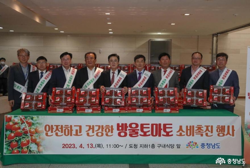 충남도는 13일 도청 지하 1층 구내식당 앞에서 김태흠 지사와 농협 충남지역본부장, 강경농협·세도농협 조합장, 재배 농가 등이 참석한 가운데, 방울토마토 무료 시식 및 판매 행사를 개최했다.