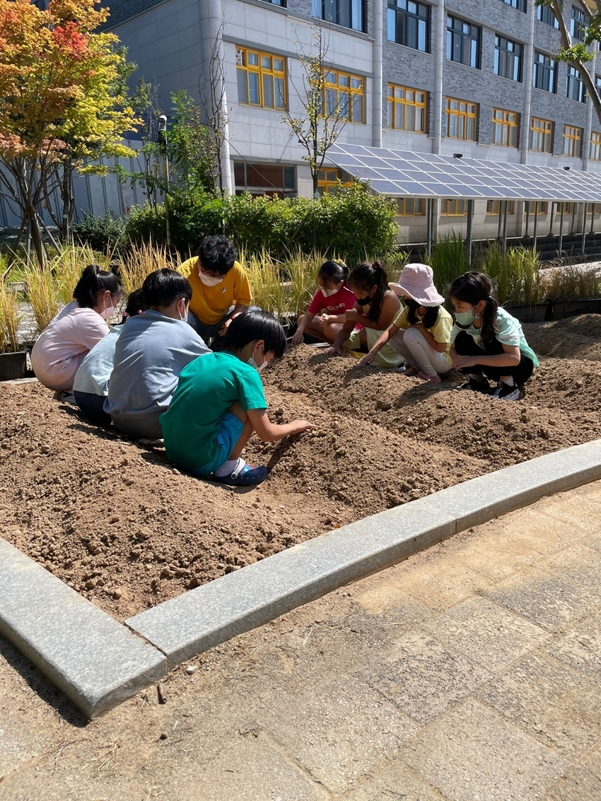 농촌진흥청은 한국친환경농업협회, 한국유기농업협회, 친환경농산물의무자조금관리위원회, 국제유기농운동연맹 아시아본부(IFOAM ASIA)와 함께 제2회 유기농 텃밭 경진대회를 연다. < 사진: 2021년 친환경 학교 텃논, 텃밭 조성공모 사업, 한국친환경농업협회 제공 >