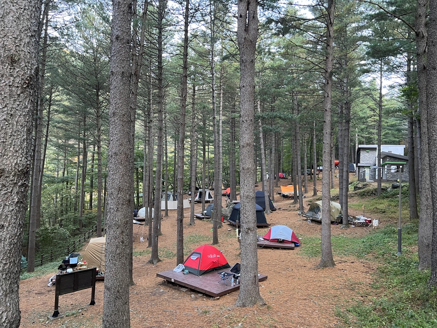 산림청 국립자연휴양림관리소(소장 김명종)는 전국 44개 국립자연휴양림을 대상으로 오는 6월 8일 오전 10시부터 13일 오후 6시까지 여름 성수기(7월 15일 ∼ 8월 24일) 국립자연휴양림 이용을 위한 추첨 신청을 받는다. < 사진: 국립 덕우산 자연휴양림><br>
