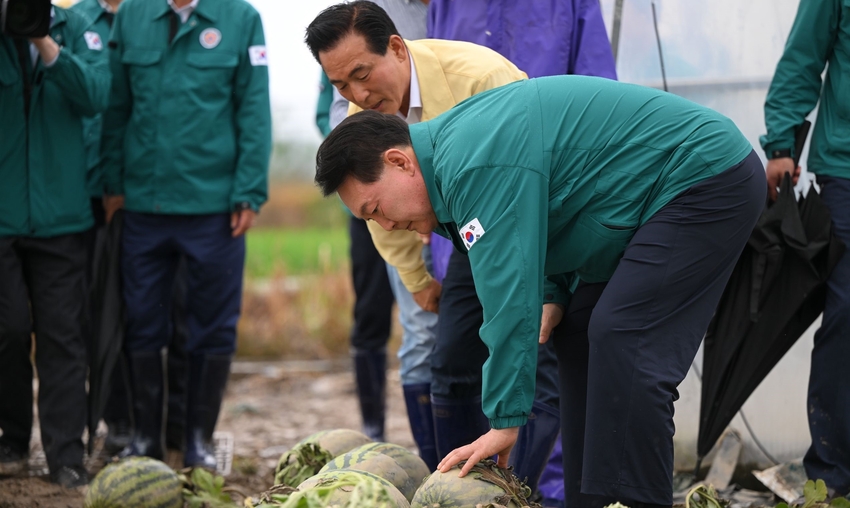 윤석열 대통령은 논산시 성동면을 찾아 수해로 피해를 입은 수박농가와 육묘장을 둘러봤다.< 사진 제공: 대통령실 > 