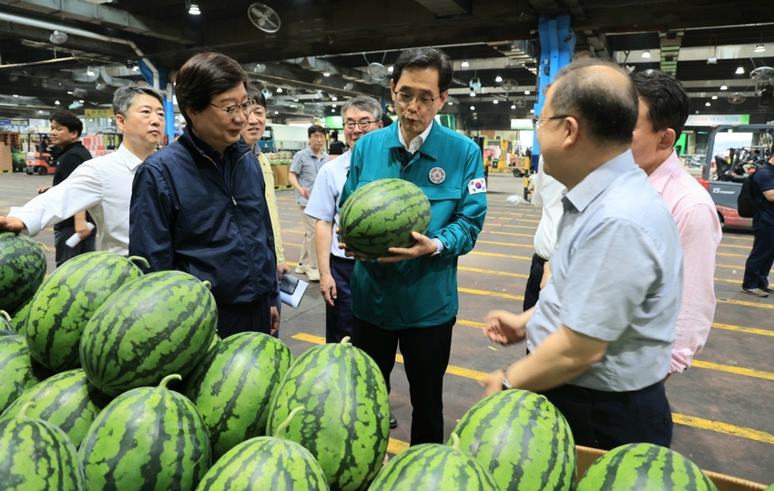  한훈 농식품부 차관은 지난 21일 서울시 가락동 농수산물 도매시장을 방문, 호우에 따른 농산물 도매시장 반입물량 상황을 긴급 점검했다.