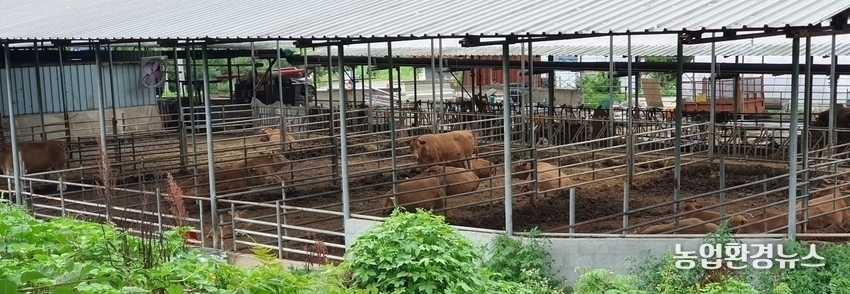 농림축산식품부는 메탄가스 발생 저감효과가 있는 저메탄사료의 보급 확대를 위해 10월 4일(수), 이같은 내용의 사료 등의 기준 및 규격 (사료 공정서)을 개정했다고 밝혔다.