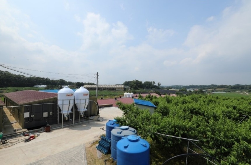 경기도 이천시 설성면에 위치한 매일농장 유병철 대표는 지난 2019년 스마트 축산 전문기업 ㈜ 선진 한마을과 협업하여 최첨단ICT 장비를 도입한 뒤, 지금의 스마트팜( 축산)을 만들어낸 2세대 양돈인이다. <사진: 매일농장 전경>