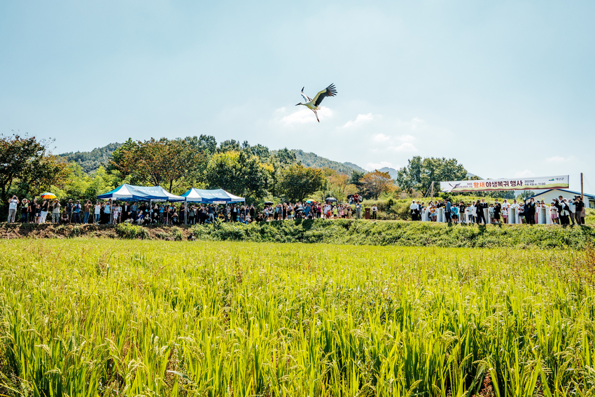 예산군 황새공원위치 : 예산군 광시면 대리, 시목리, 가덕리 일원 ‧ 면적 : 10.74㎢ ‧ 특징 : 황새서식(멸종위기야생동물 I급 ․ 천연기념물 199호) 및 모니터 추진