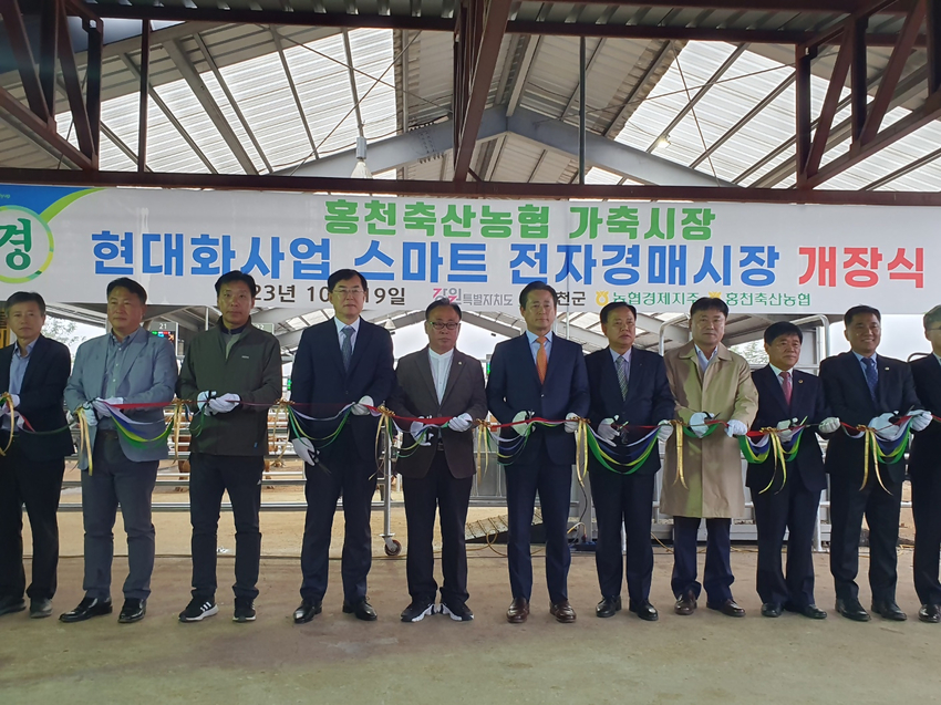 홍천축협 스마트 가축시장 정식 개장식에 안병우 농협 축산경제대표이사를 비롯해, 신영재 홍천군수, 도의원 등 내외빈 100여 명이 참석해 개장을 축하했다.