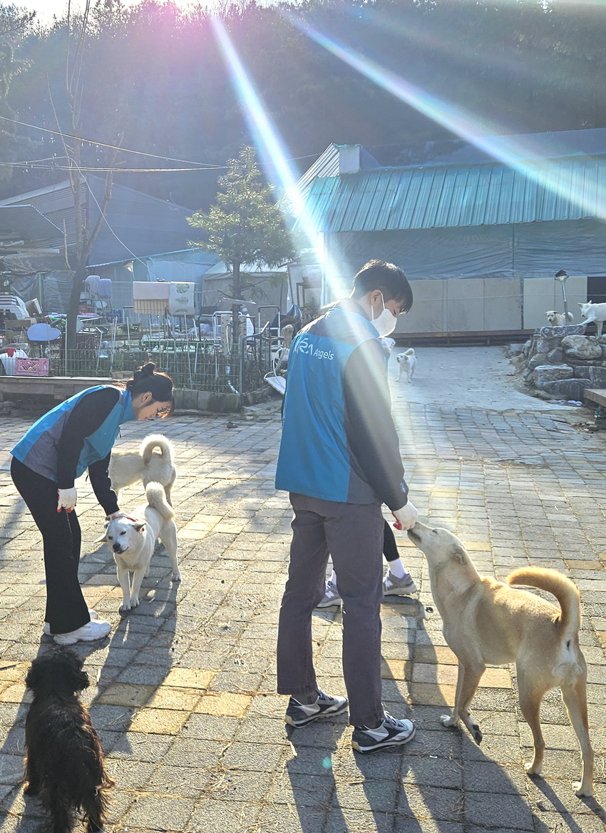  한국마사회(회장 정기환) 임직원 봉사단 ‘한국마사회 엔젤스’는 지난 22일 동물복지 프로젝트의 일환으로 유기동물 보호소 두 곳을 찾아 봉사활동을 시행했다.