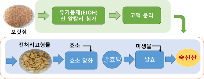 유기용매 추출법을 적용하여 보릿짚으로부터 셀룰로오스 추출