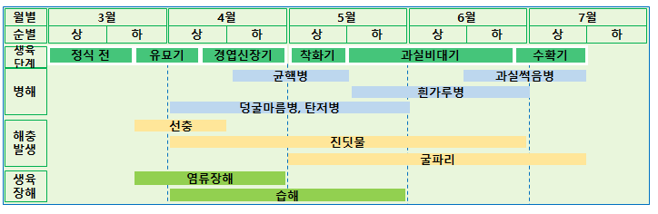 수박 반촉성 재배(3∼7월)시 생육단계별 발생하는 병해충 및 환경장해