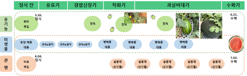 < 수박 全생육단계 맞춤형 농가실증을 위한 미생물제 기본처리방법>