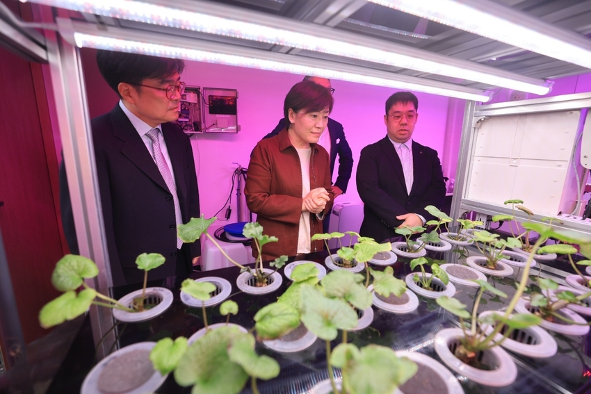 < 사진 설명 > <br>
농식품부 송미령 장관이 17일 오후 대한제강 공장 폐열을 활용하여 운영 중인 스마트 온실을 방문하여 에너지 절감 사례를 확인하고 확산 방안 등을 논의하였다. 