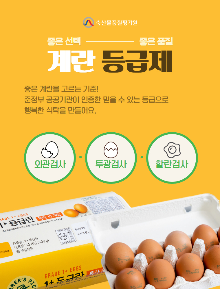 계란 등급제 안내 
