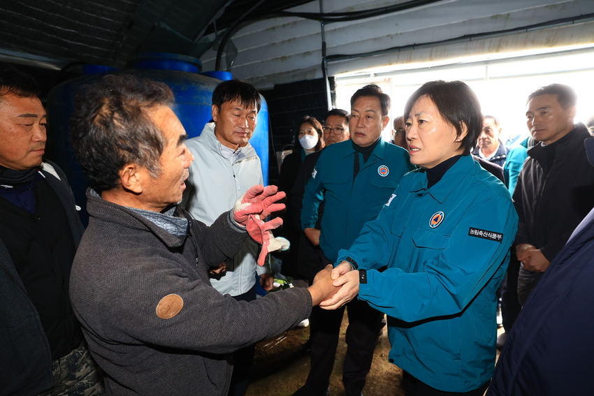 < 사진설명 >농식품부 송미령 장관이 12월 1일 오후, 경기 여주의 대설 피해 농가(화훼 농가)를 방문하여 농업인을 위로하는 한편, 피해 상황과 응급복구 상황을 점검하였다.