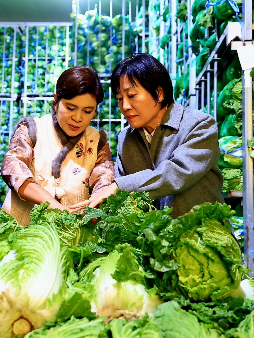 김치가공업체(도미솔식품)에서 보관 중인 겨울배추 상태를 살펴보고 있는 송미령 장관(사진 오른쪽)과 도미솔식품 박미희 대표