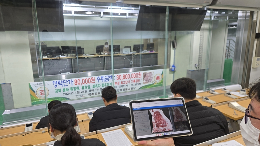 부경축산물공판장에서 중도매인이 소 도체 사진을 보며 축산물 온라인 경매에 참여하고 있다