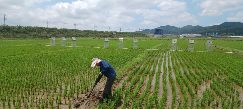  5월 23일 통계청이 발표한 「2024년 농가경제조사 결과」에 따르면, 2024년 농가소득은 5,060만원으로 전년 대비 소폭 감소 (0.5%, 23만원)했다고 밝혔다.