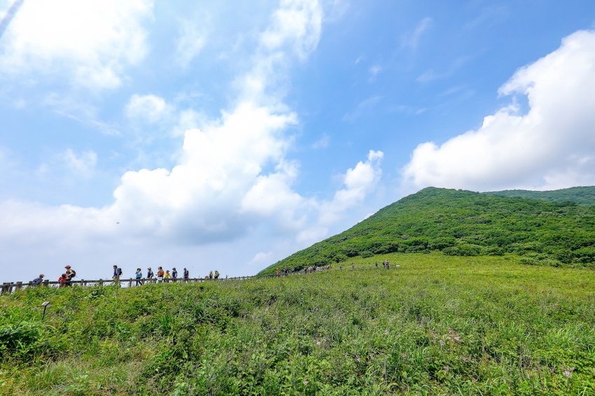 명풍숲 = 인제 곰배령