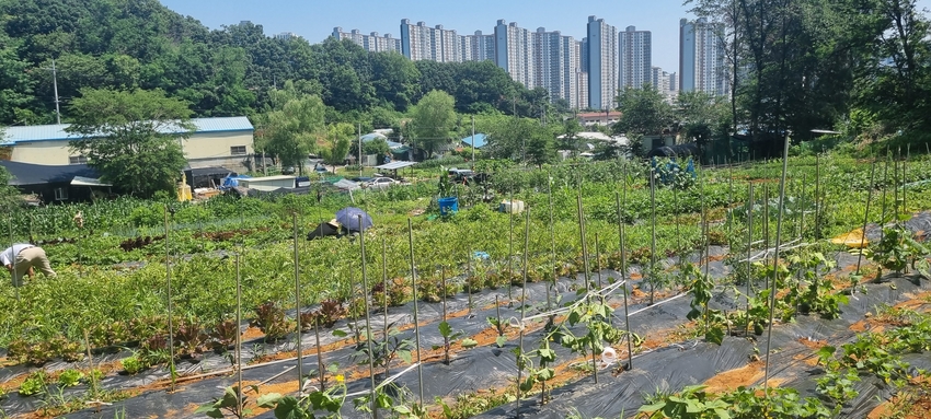 농식품부가 새정부 공약 과제 이행을 위한 '농정 대전환 TF 를 발족한다고 밝혔다.