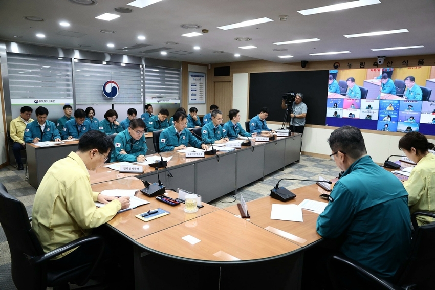 강형석 농식품부 차관이 지난 7월 17일(목) 관계부처와 지자체가 참여하는 중수본 회의를 개최하여 아프리카돼지열병 발생 상황과 방역 대책을 점검했다.