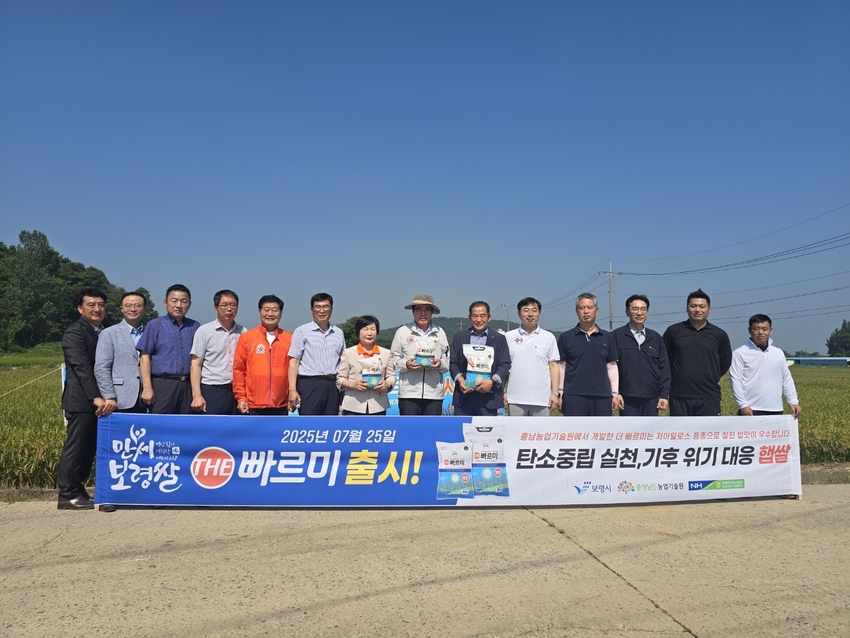 충남도 농업기술원은 25일부터 보령시 청소면 일대에서 폭염과 폭우 등 기상 악조건을 이겨낸 ‘2세대 빠르미’를 본격 수확한다고 밝혔다.