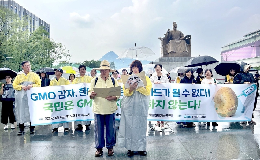 지난 8일 오후 GMO반대전국행동을 비롯한 농민·시민단체들은 서울 광화문 세종대왕 동상 앞에서 ‘ GMO 감자는 한미 협상대상이 될 수 없다‘ 기자회견을 열고, ‘GMO 감자 수입과 규제 완화 논의의 전면 중단’을 촉구했다 < 사진제공: 한국농어민신문> 
